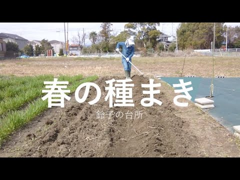 【春の種まき】家庭菜園で種まき