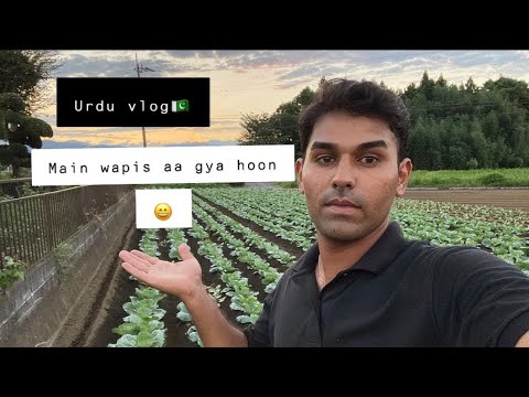 Mein wapis aa gya😁|Pakistani in japan | Urdu vlog