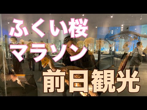 ふくい桜マラソン番外編（前日お泊まり観光）