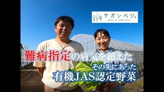 ♦7 佐賀県の有機JAS認定野菜、難病を超えたその先にある野菜とは