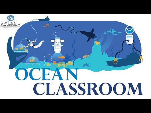 Hawaii Ocean Classroom Teachers Workshop Day 2 - E A‘O – to Learn/to Teach