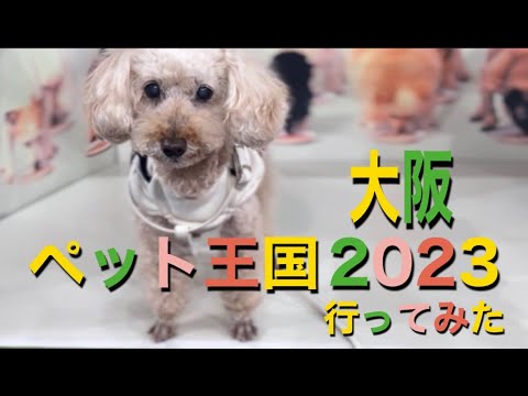 【犬のイベント】ペット王国2023大阪　いってみた