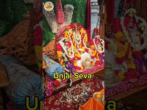 Unjal Seva on New Year Day at Radha Krishna Temple of Dallas #shorts