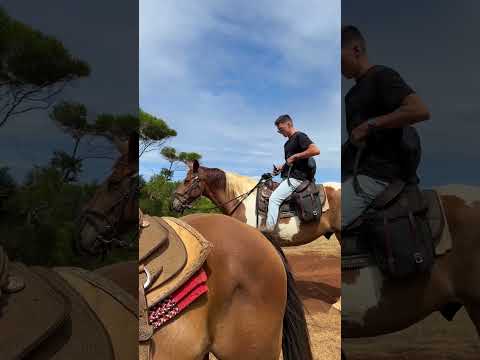 Horseback Riding at Gunstock Ranch | North Shore, HI