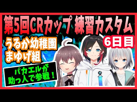 【うるか幼稚園まゆげ組】CRカップ練習カスタムのハイライト！6日目【切り抜き/Apex/夏色まつり/杏戸ゆげ/うるか/パカエル】