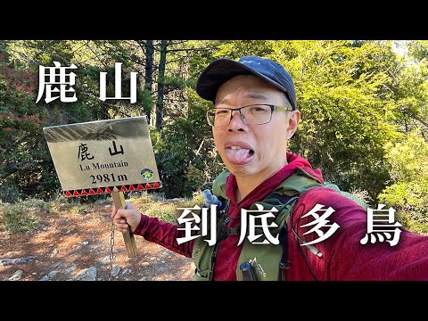 鹿山真的那麼鳥嗎？ | 四大鳥山 | 鹿山、玉山南稜Day1