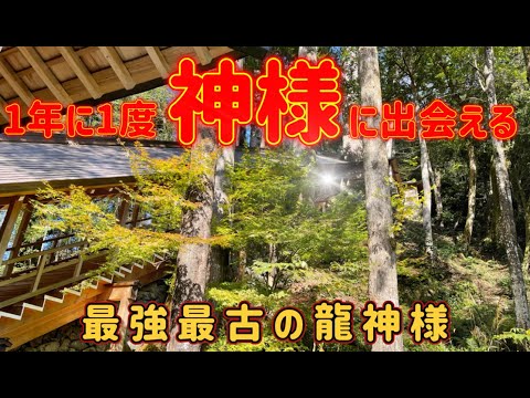 『丹生川上神社下社』※大切な願いが一つ叶う※都を南から守るパワースポット神社！御神馬の白馬