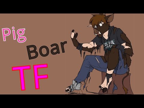 Pig and Boar Transformation / Pig Boar TFTG