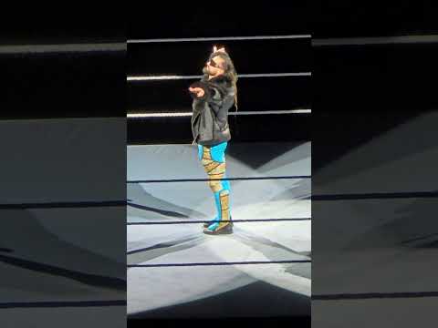 MSG Chants CM Punk at Seth Rollins