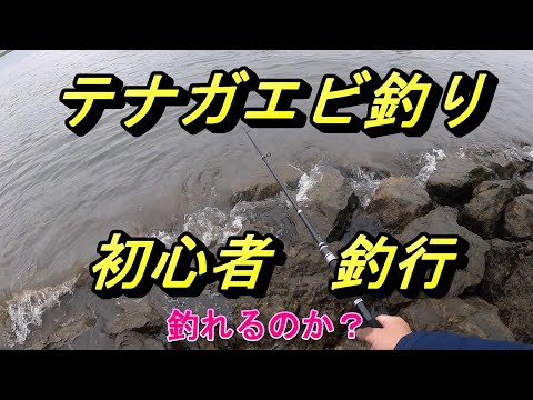 【テナガエビ釣り】初挑戦で釣れるのか！？