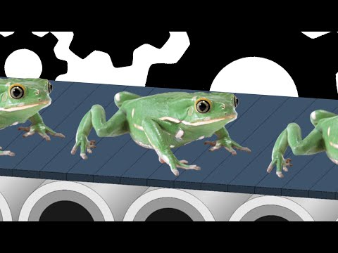 Frog farm