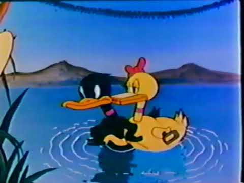 Racist Daffy Duck Cartoon (Coy Decoy)