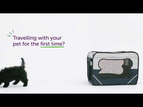 Travelling with your pet for the first time?