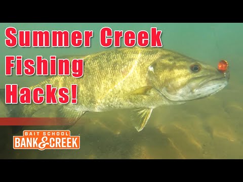 Five SIMPLE Hacks to CRUSH Summertime Creek Fishing! Bank & Creek