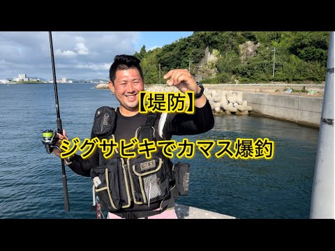 【堤防】ジグサビキでカマス爆釣