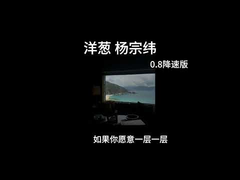 洋葱-杨宗纬 0.8降速版