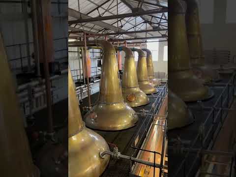 Cardhu whisky Distillery tour