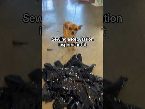 Sewing a Reputation inspired look for my puppy