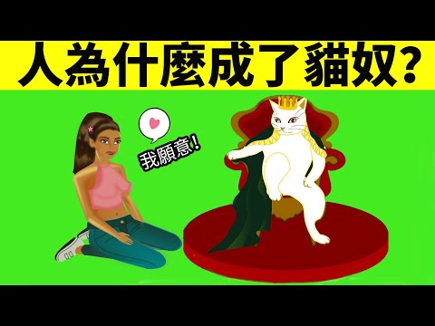 人為什麼會變成貓奴？吸貓成癮原來是因為這個？！