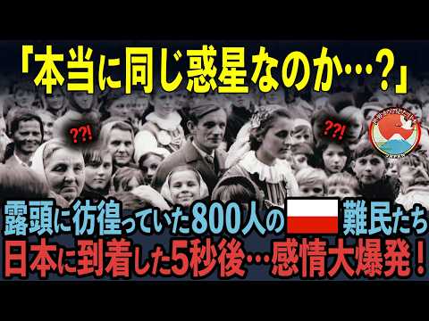 【海外の反応】「全世界196カ国で日本だけ！」死の淵を彷徨っていた800人のポーランド難民たちが日本に到着した5秒後…ある光景に驚愕した理由