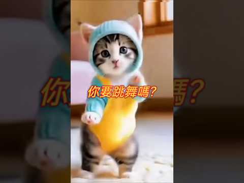 APT跳舞歌貓咪跳舞#cat #可愛 #貓 #貓咪 #短片 #貓主子 #貓奴 #萌系 #跳舞 #萌寵 #療癒 #可愛動物 #治癒小貓 #治癒系 #lovely #kitten