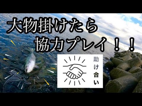 【ショアジギング】大物掛けたら協力プレイ！！