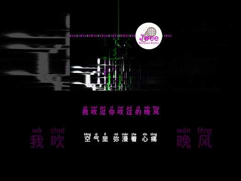 错位时空 《艾辰》 Pinyin Lyrics 动态拼音歌词 shorts #songlyrics