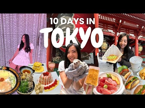 TOKYO, JAPAN | What to eat & things to do in Asakusa, Tsukiji, Ginza, Akihabara (Japan Vlog)