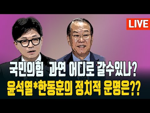 진단)한가로운 권영세의원보단 장제원을 모셔야 비대위원장 아닐까??? 2024.12.24. [황경구시사파이터]