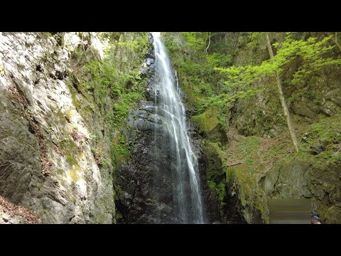 【山歩】GW初日の川苔山