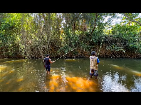 PESCARIA no Rio utilizando Bambu - Peixe Enorme mordeu a isca