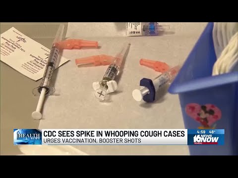 How to prevent the spread of whooping cough cases