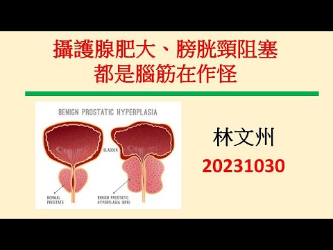 攝護腺肥大、膀胱頸阻塞都是腦筋在作怪－林文州20231030