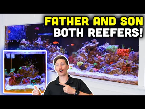 STUNNING 6' In-Wall Reef Tank in Long Island! BONUS Nano Tank Tour!