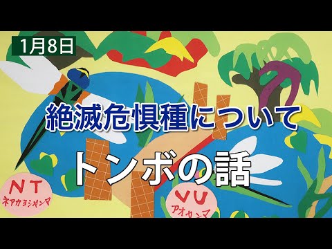 絶滅危惧種について【トンボの話】