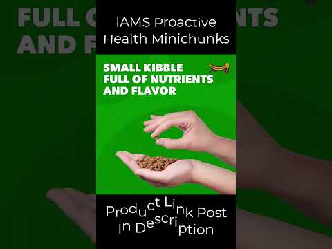 Proactive Health Minichunks Adult Dry Dog Food #youtubeshorts #dogfood