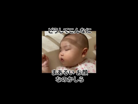 そら豆みたいな寝顔 #shorts  #赤ちゃん  #baby