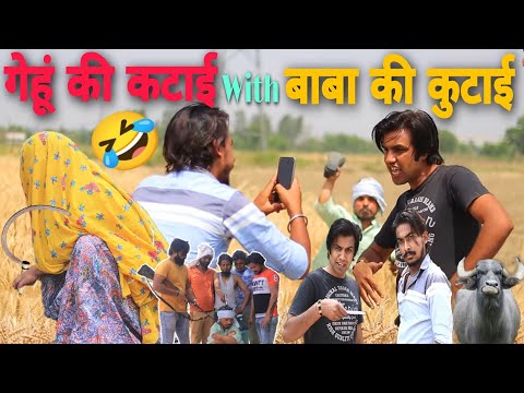 गेहूं की कटाई With बाबा की कुटाई || FARMAR LIFE ||COMEDY VIDEO || AMAN BHATI