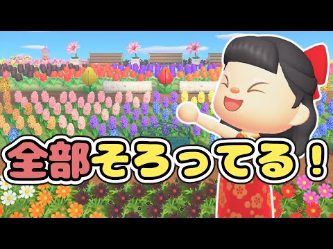 【売ってる家具禁止】お花を全種類全色使ってお花畑を作る【あつ森ゆっくり実況】