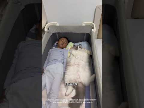 我家猫和人类幼崽可不能分开啊 #猫和孩子