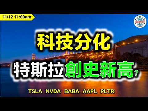 AI投資有道-美股研究 I 科技分化，特斯拉創史新高？I TSLA | NVDA | BABA | AAPL | PLTR