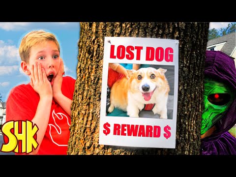 Our dog is missing! 😱 Will we find Scruffles?? 😳🤔