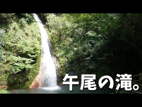 【車で見に行ける滝】午尾の滝に行ってきました。【Vlog】