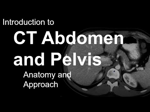 Introduction to CT Abdomen and Pelvis: Anatomy and Approach