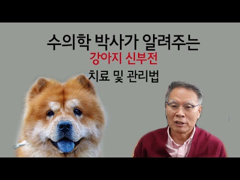 수의학박사 닥터엠이 알려주는 강아지 신부전 치료 및 관리법