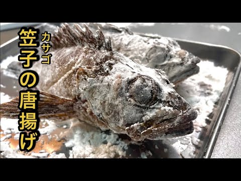 【カサゴ釣り】釣って食べるまでが釣り！！