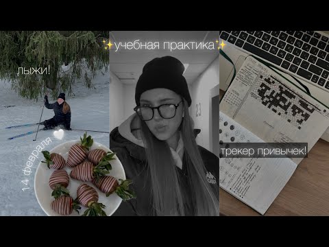 учебная практика, лыжи, зал | влог!