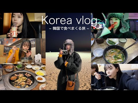 【vlog】韓国でひたすら食べまくって幸せすぎた。