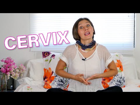 What's the cervix? How do you stimulate it?