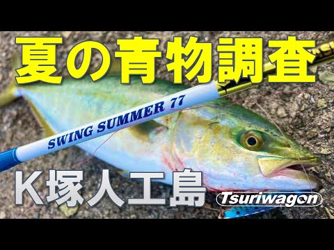 青物シーズン開幕！ナブラだらけの貝塚人工島【大阪湾 青物 #スーパーライトショアジギング】